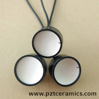 Piezoelectric Ceramic Focused Sensor